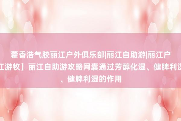 藿香浩气胶丽江户外俱乐部|丽江自助游|丽江户外【丽江游牧】丽江自助游攻略网囊通过芳醇化湿、健脾利湿的作用